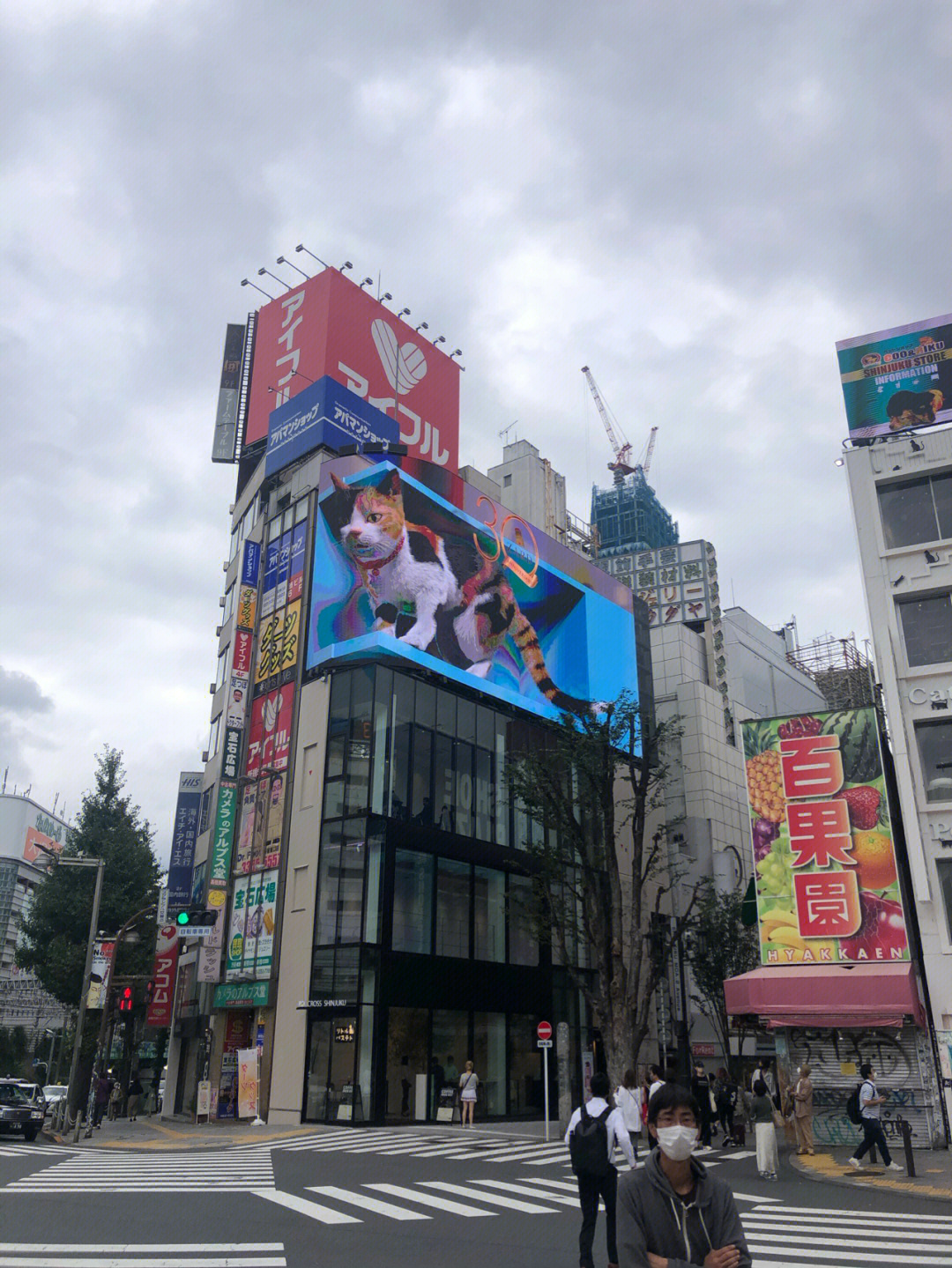 新宿车牌图片