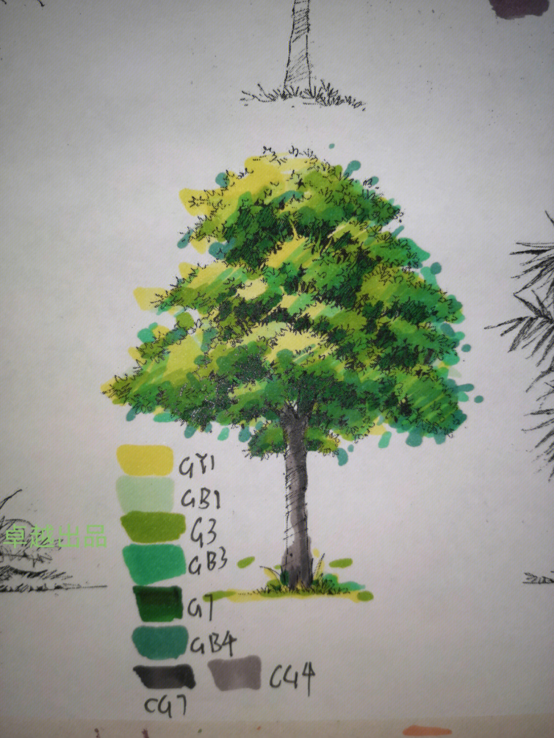 马克笔画树 教程图片