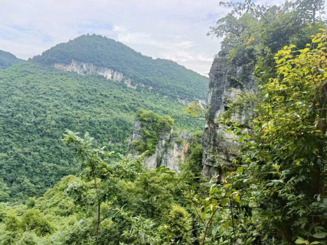 贵州道真县简介图片