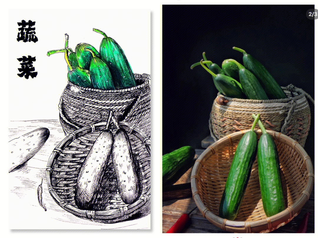 蔬菜组合线描画图片