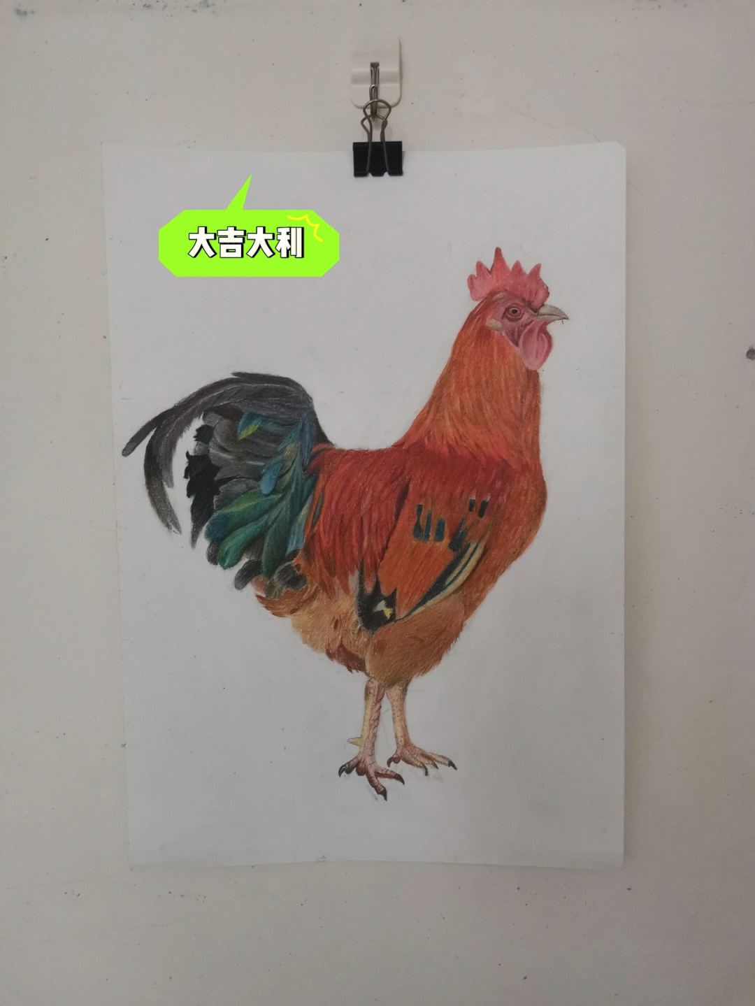 彩铅画的大公鸡完成了