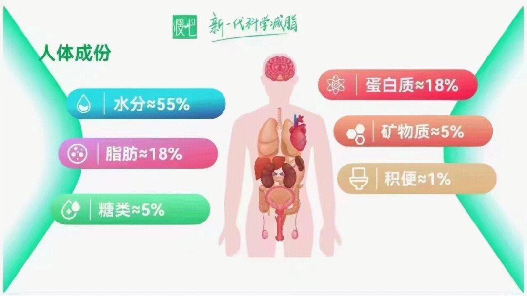 人体三大物质图片