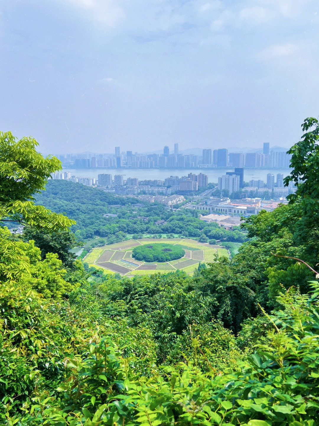 杭州市区爬玉皇山紫来洞避暑看八卦田