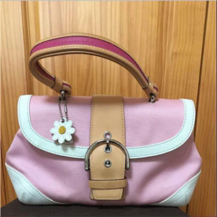 coach4月新品小雏菊图片