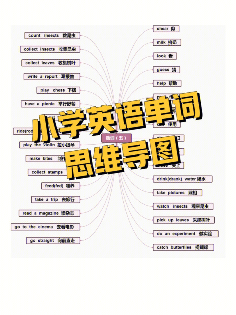 小学英语单词思维导图