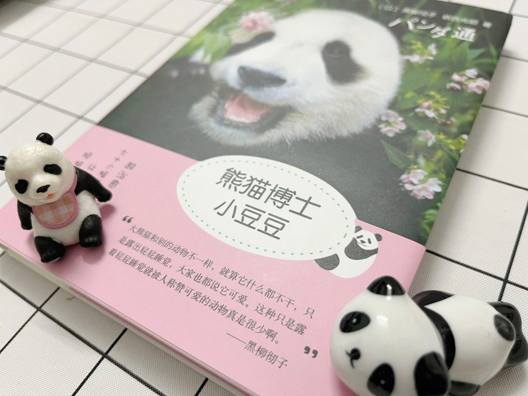 92《熊猫博士小豆豆》【日】黑柳彻子 岩合光昭