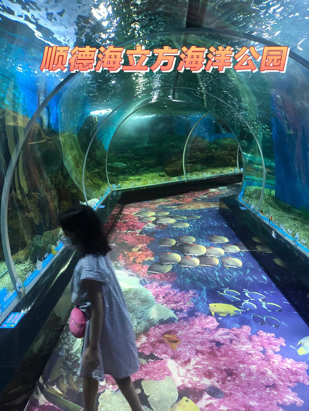 湘潭海立海洋世界图片