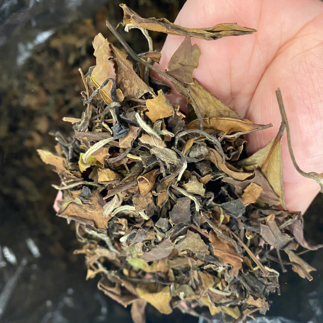 优质口粮茶福鼎白茶2014年寿眉