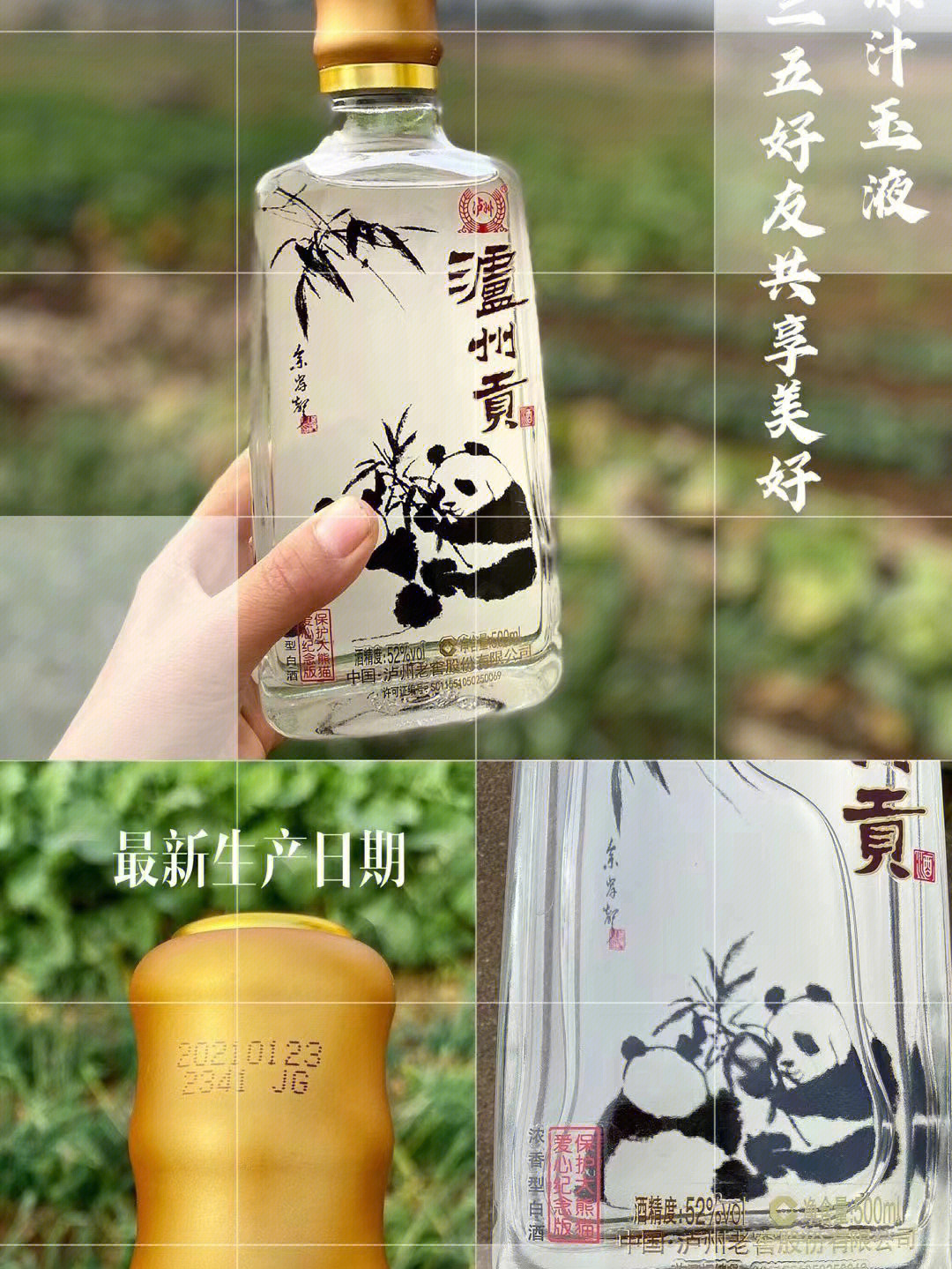 国珍熊猫酒52度图片