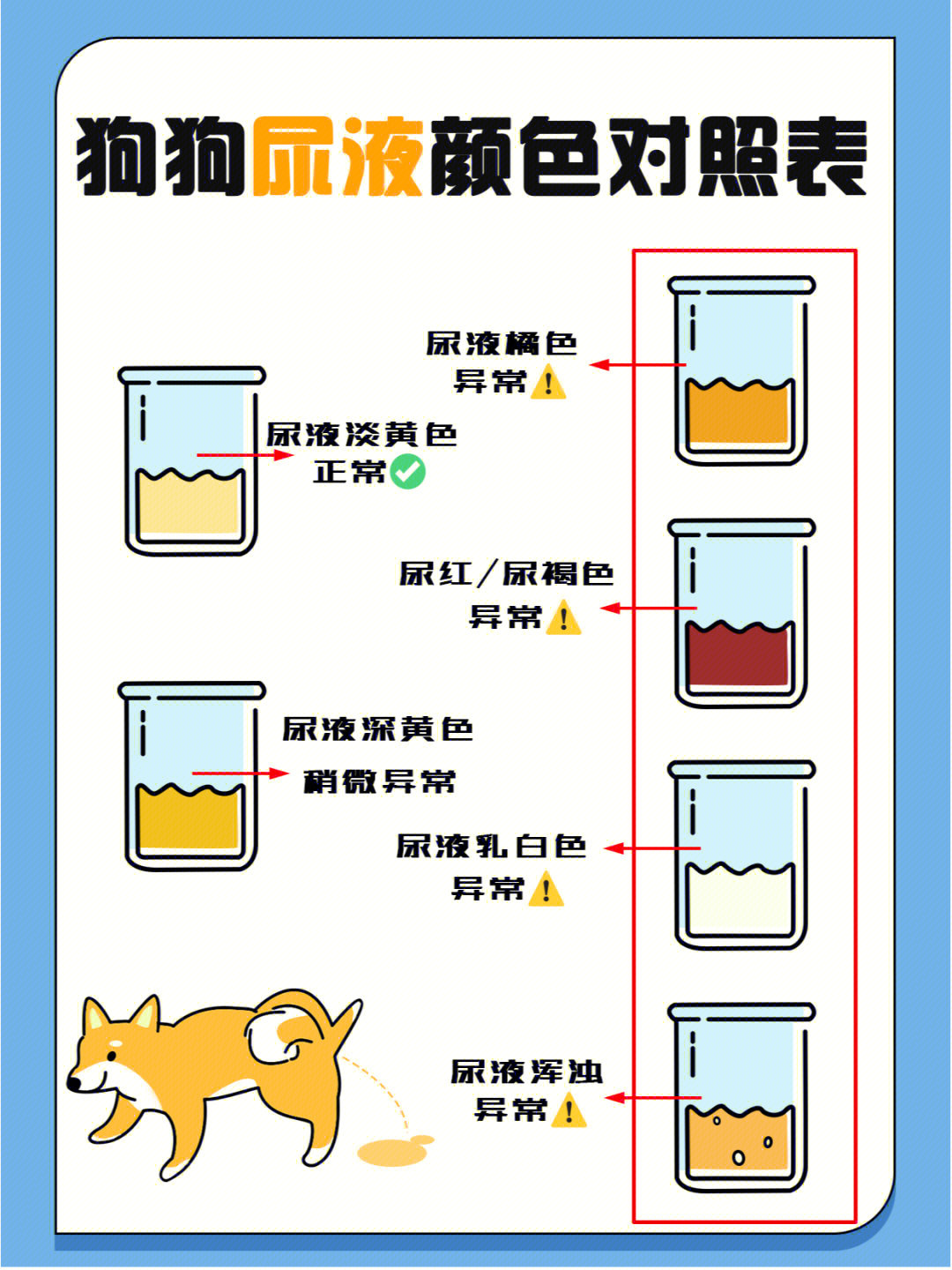 狗狗尿液颜色速查表判断狗狗健康状况73