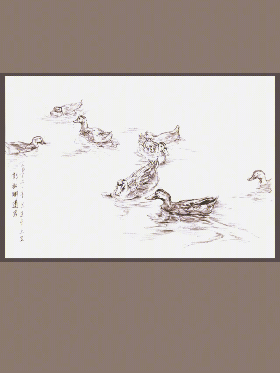 动物速写鸭子图片