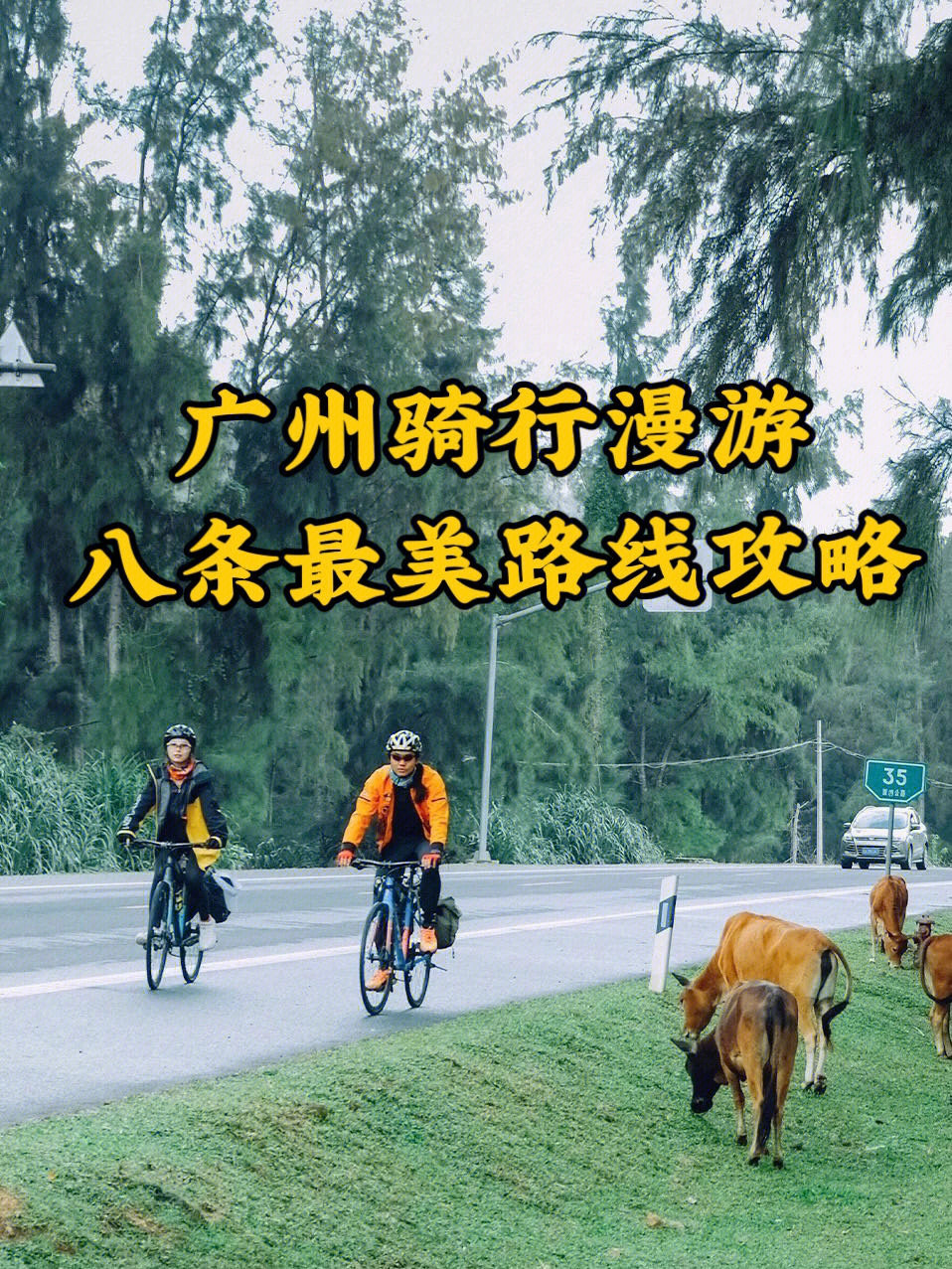 广东绿道骑行路线图图片