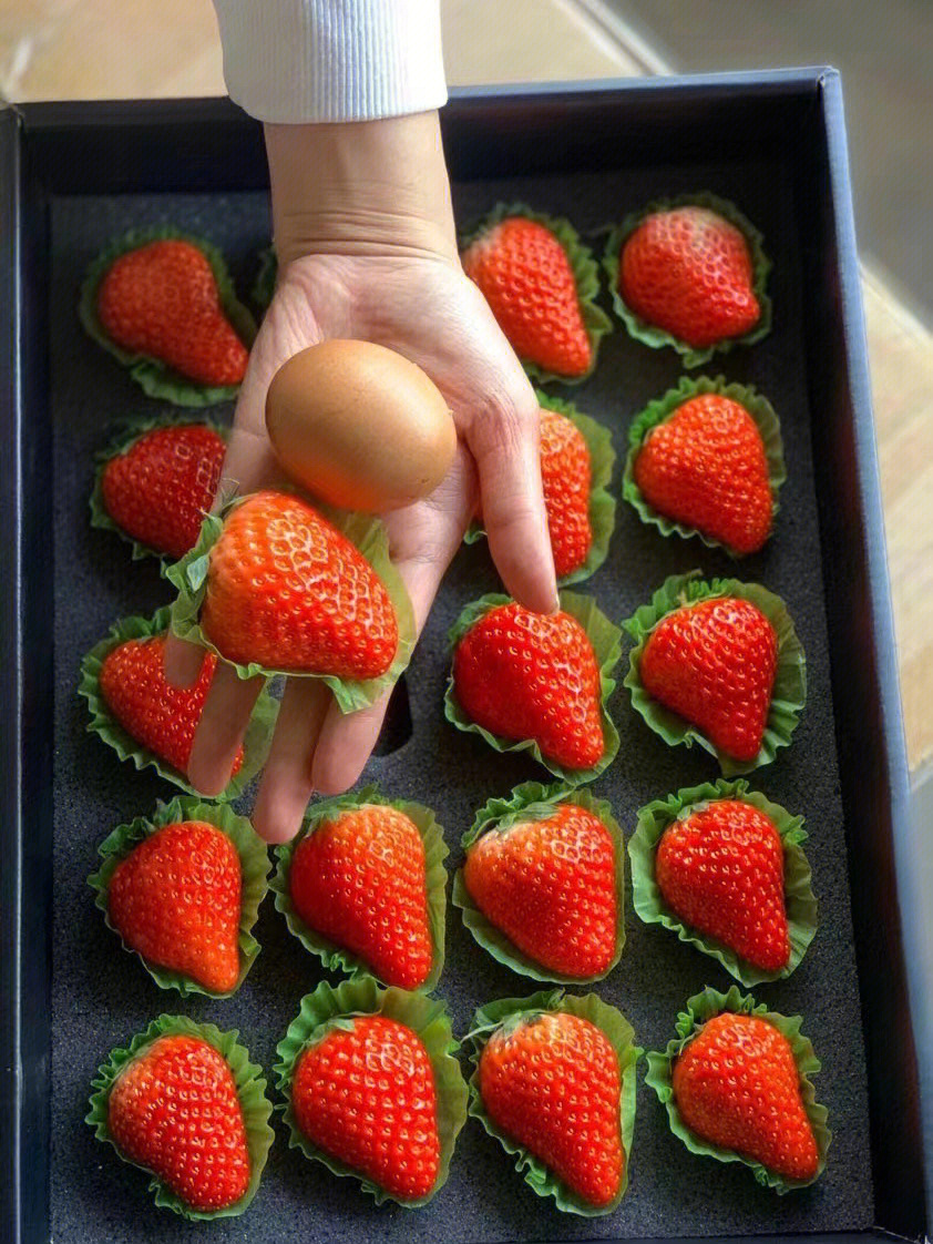 鸡蛋彩绘草莓图片