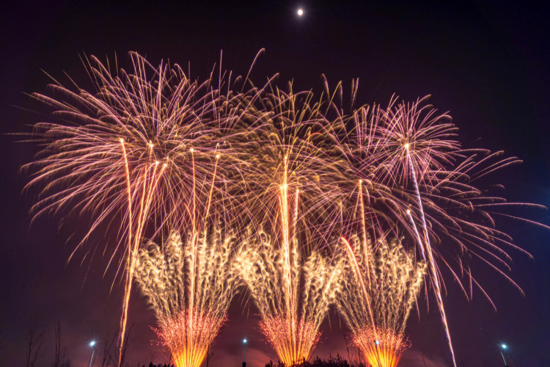 烟花#超美烟花#最美夜景#春节#夜景#哈尔滨拍照#烟火