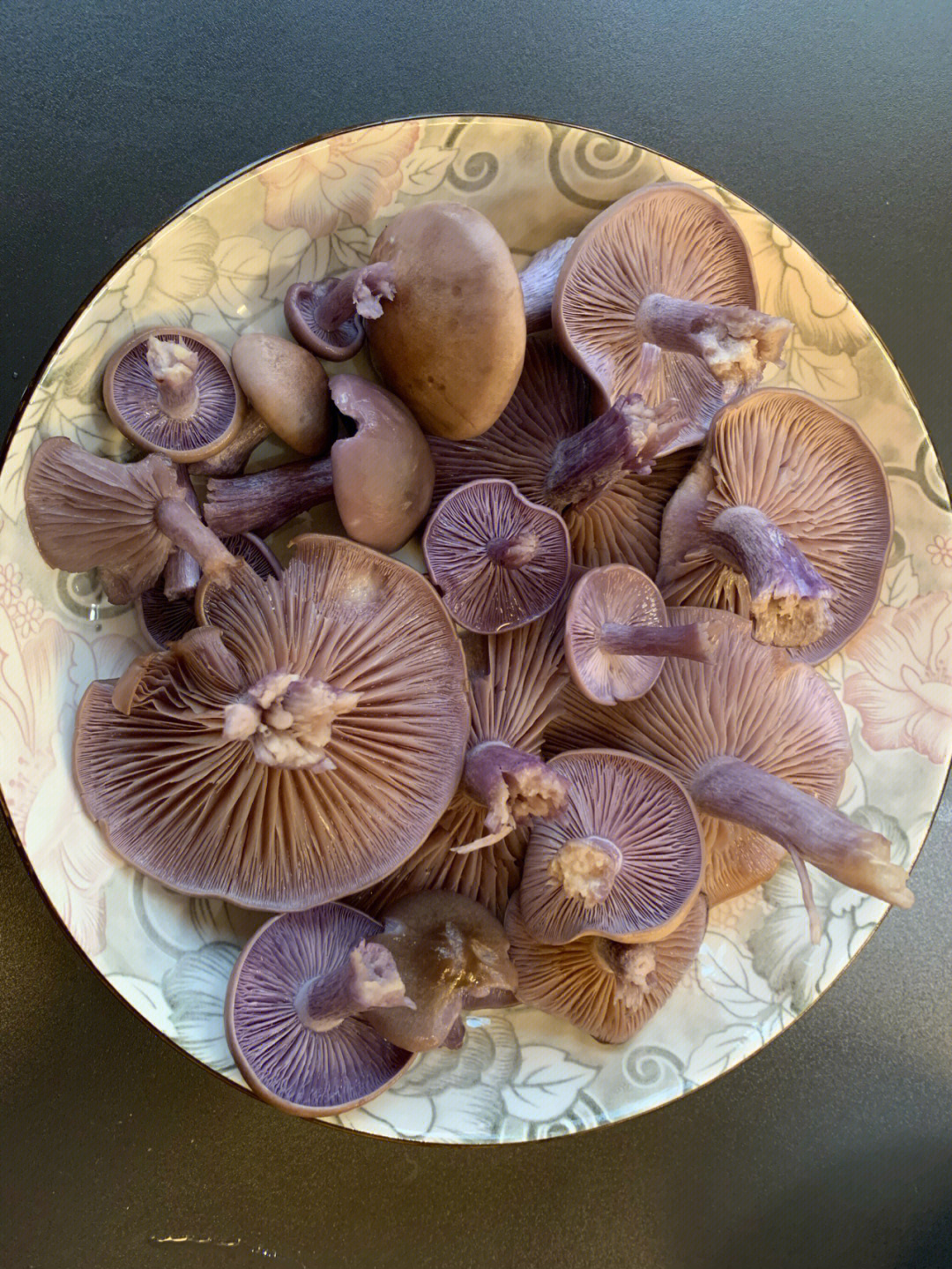 英国深秋的紫色蘑菇