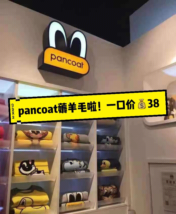 pancoat明星同款图片