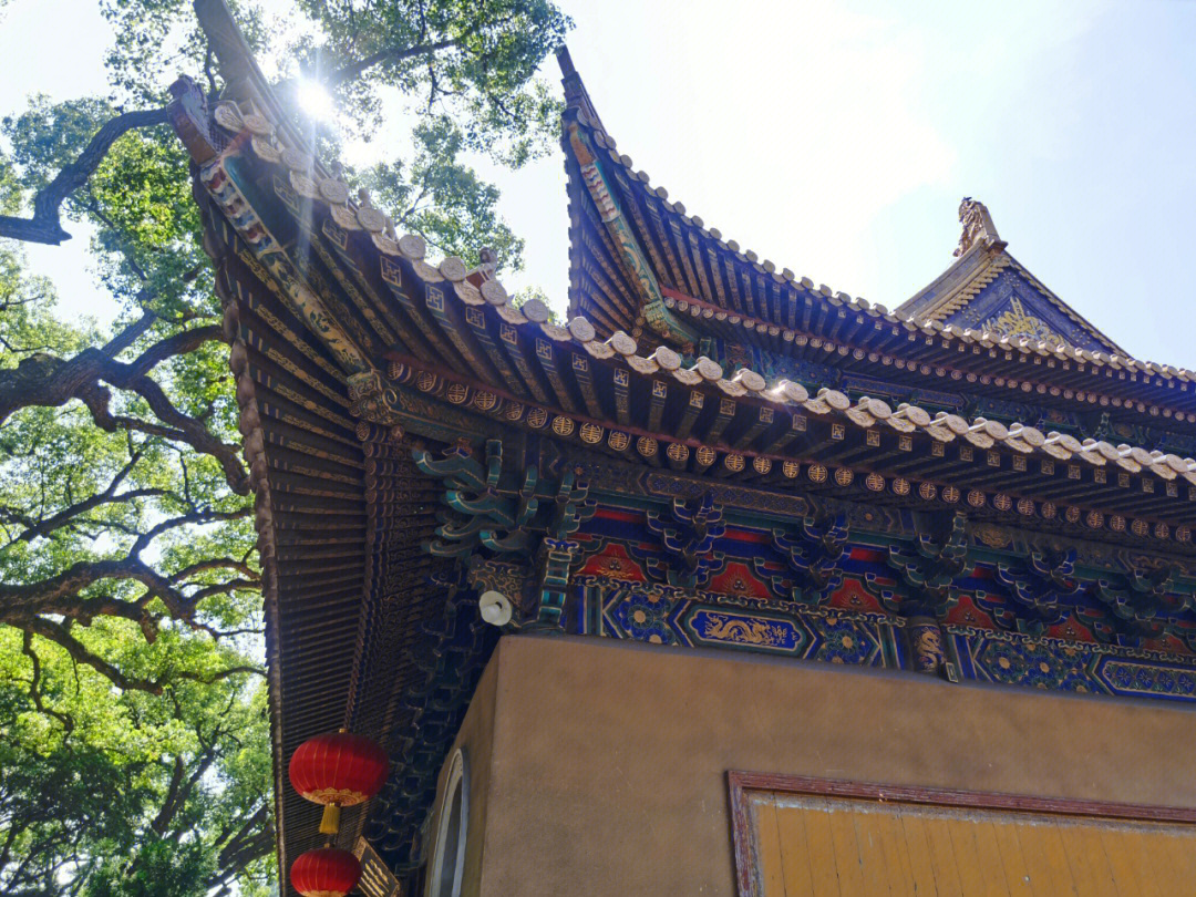 正山门码头—南海观音—紫竹林—法雨寺—佛顶山—普济寺按照方位顺序