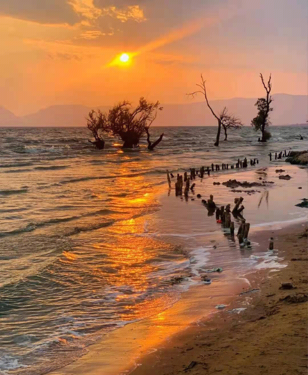 王官湿地公园沙滩图片