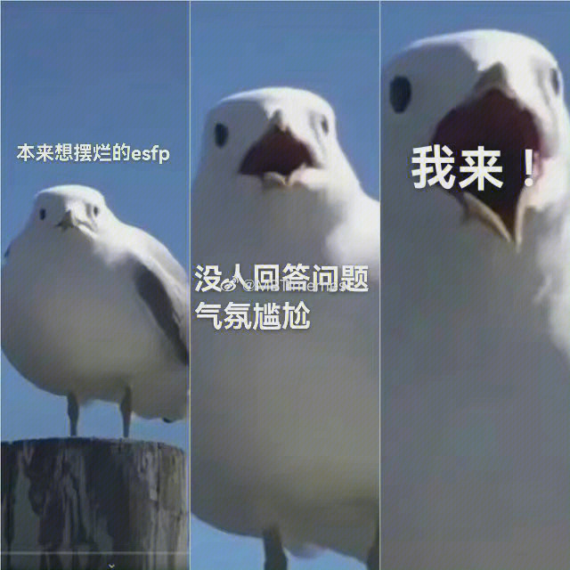 ESFP meme图片