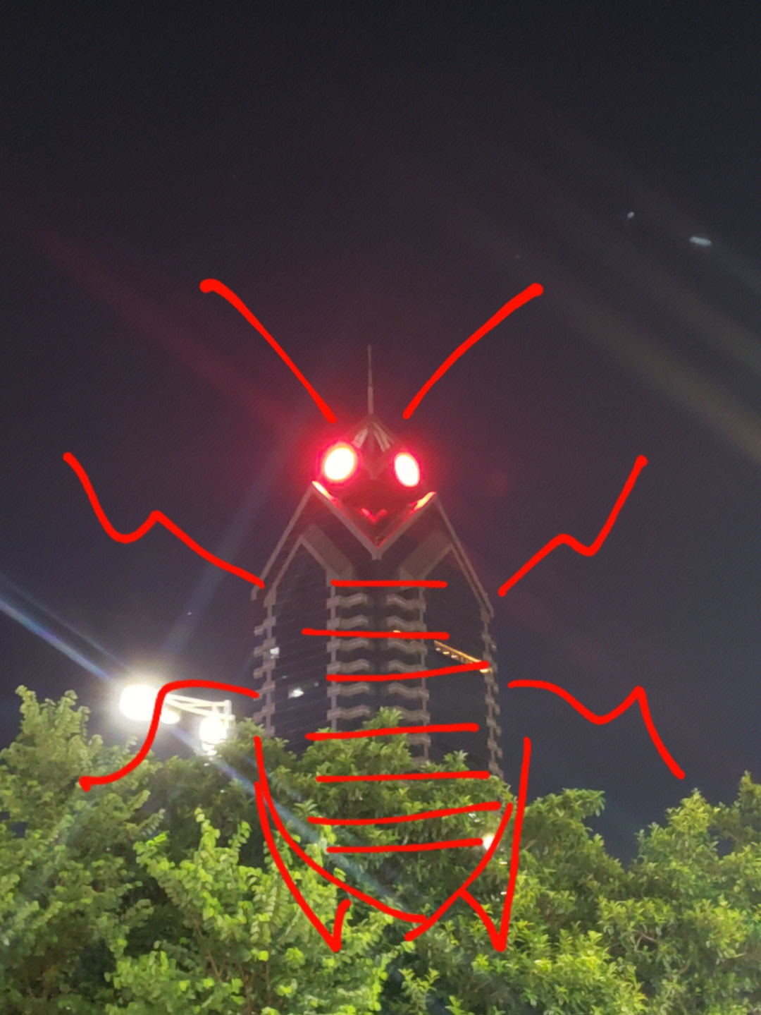 广州最大的蟑螂图片