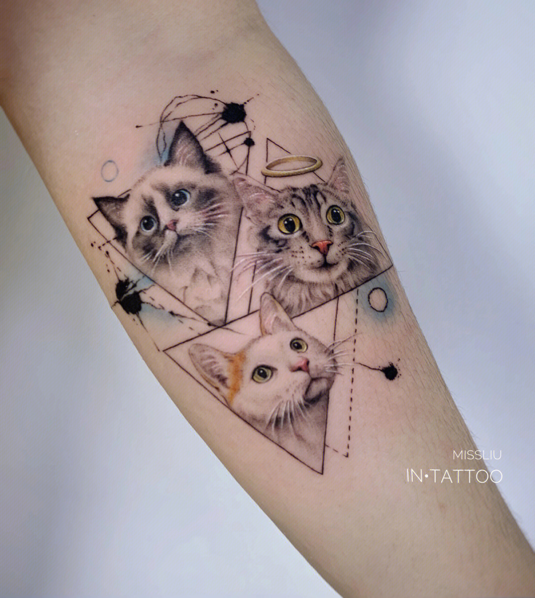 写实猫咪纹身
