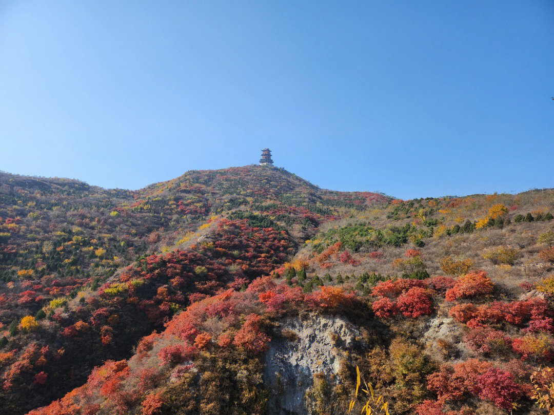 西山艺境 实景图片