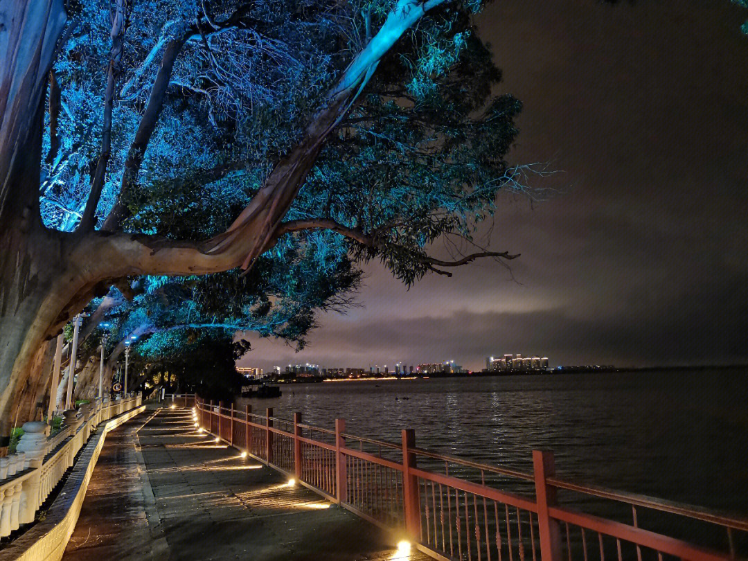 海埂公园夜景图片