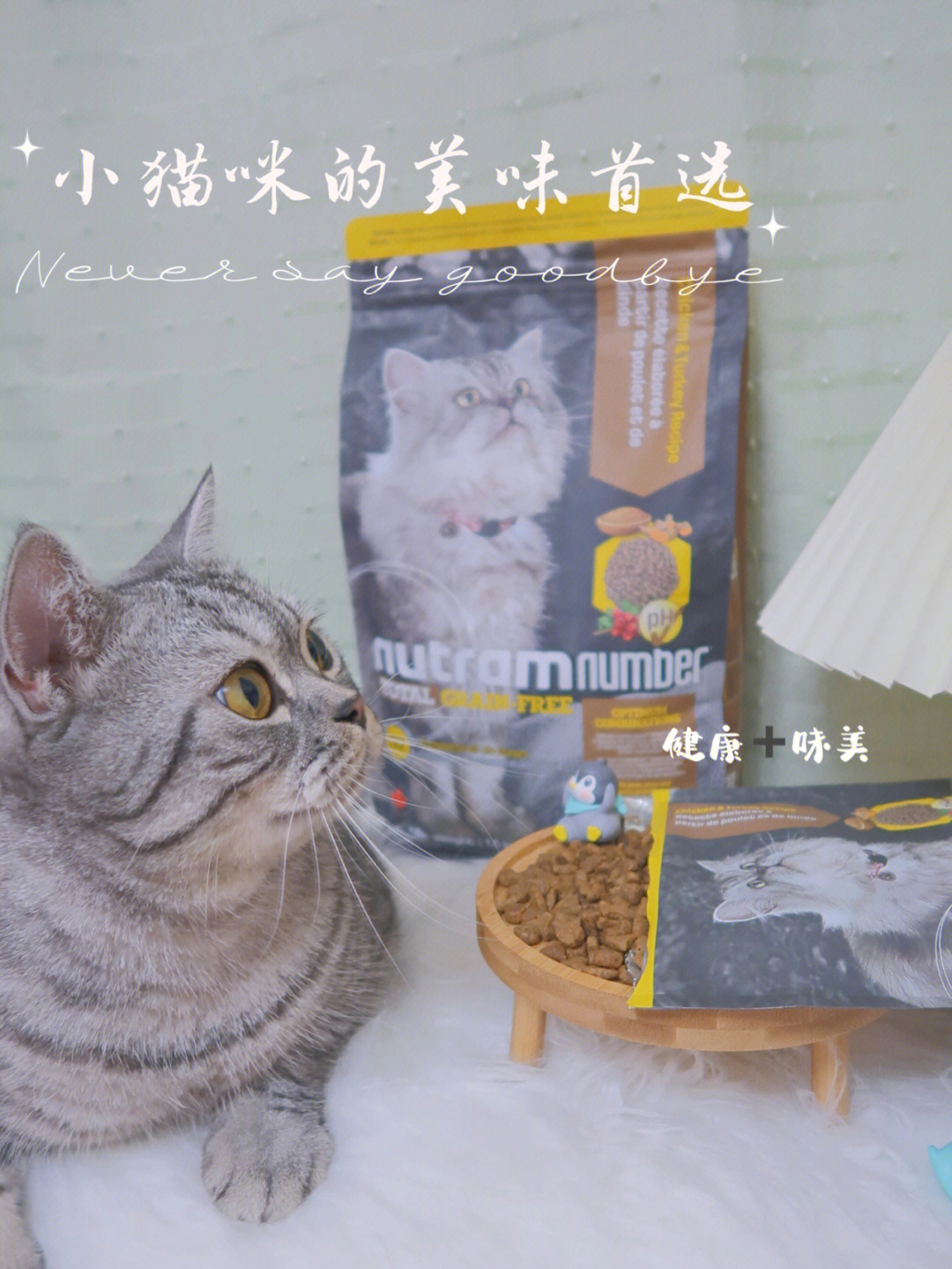 猫咪的快乐是纽顿67猫粮给的