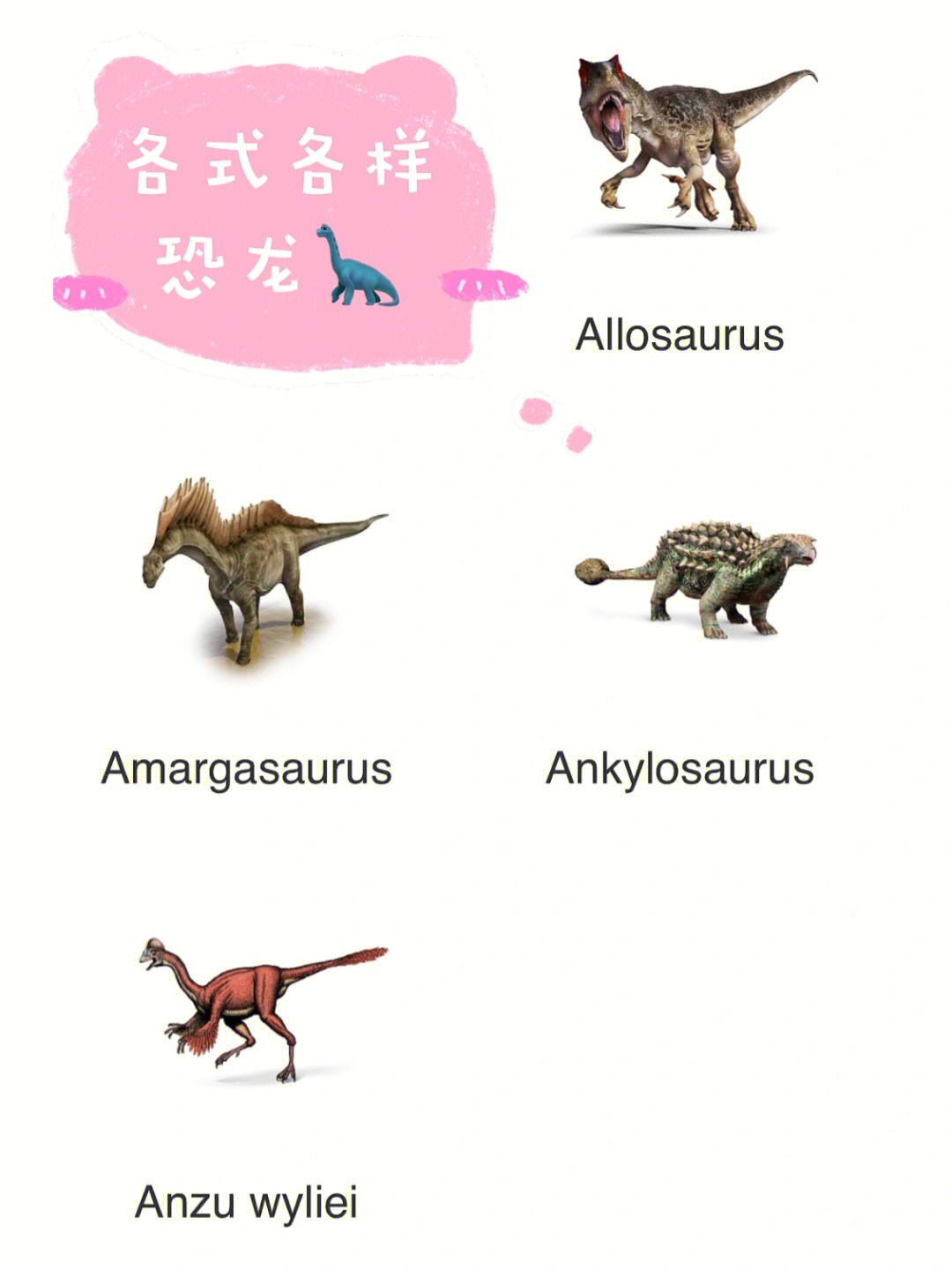 dinosaurs各式各样的恐龙03