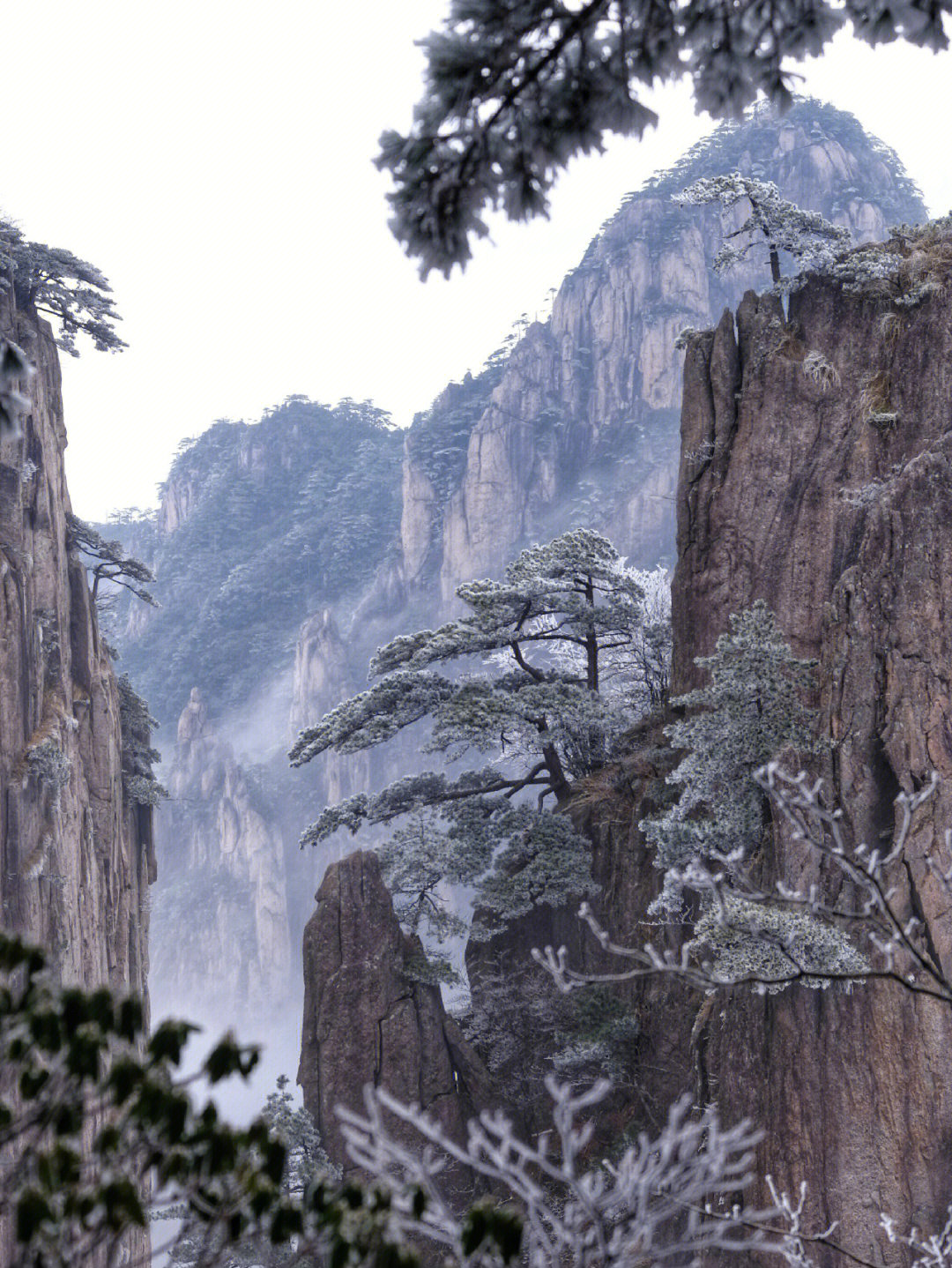 前后去过黄山几次,不可否认一年四