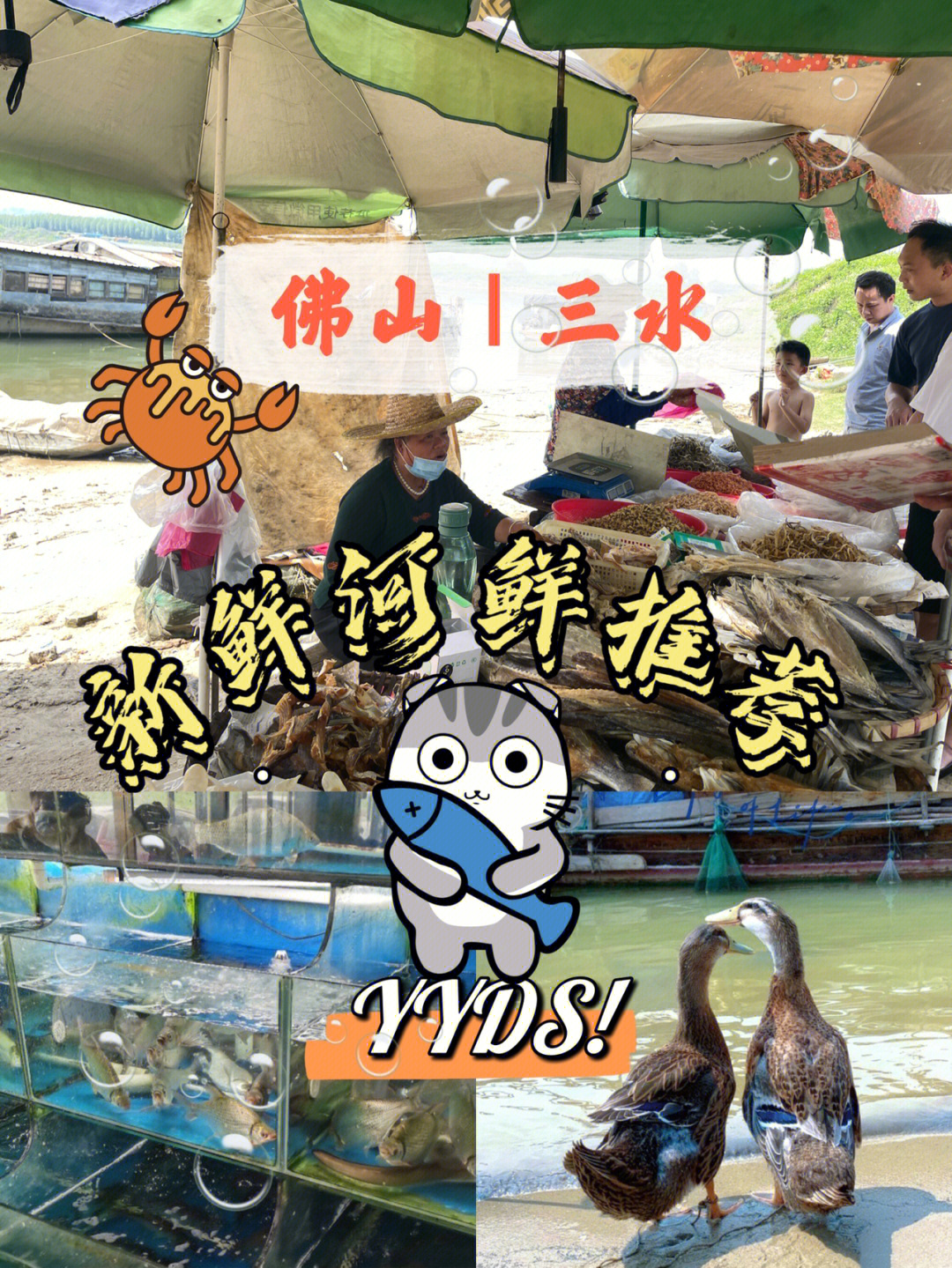 佛山三水新鲜打捞的河鲜位于北江大缇饭店门口上缇就能看到很多渔民在