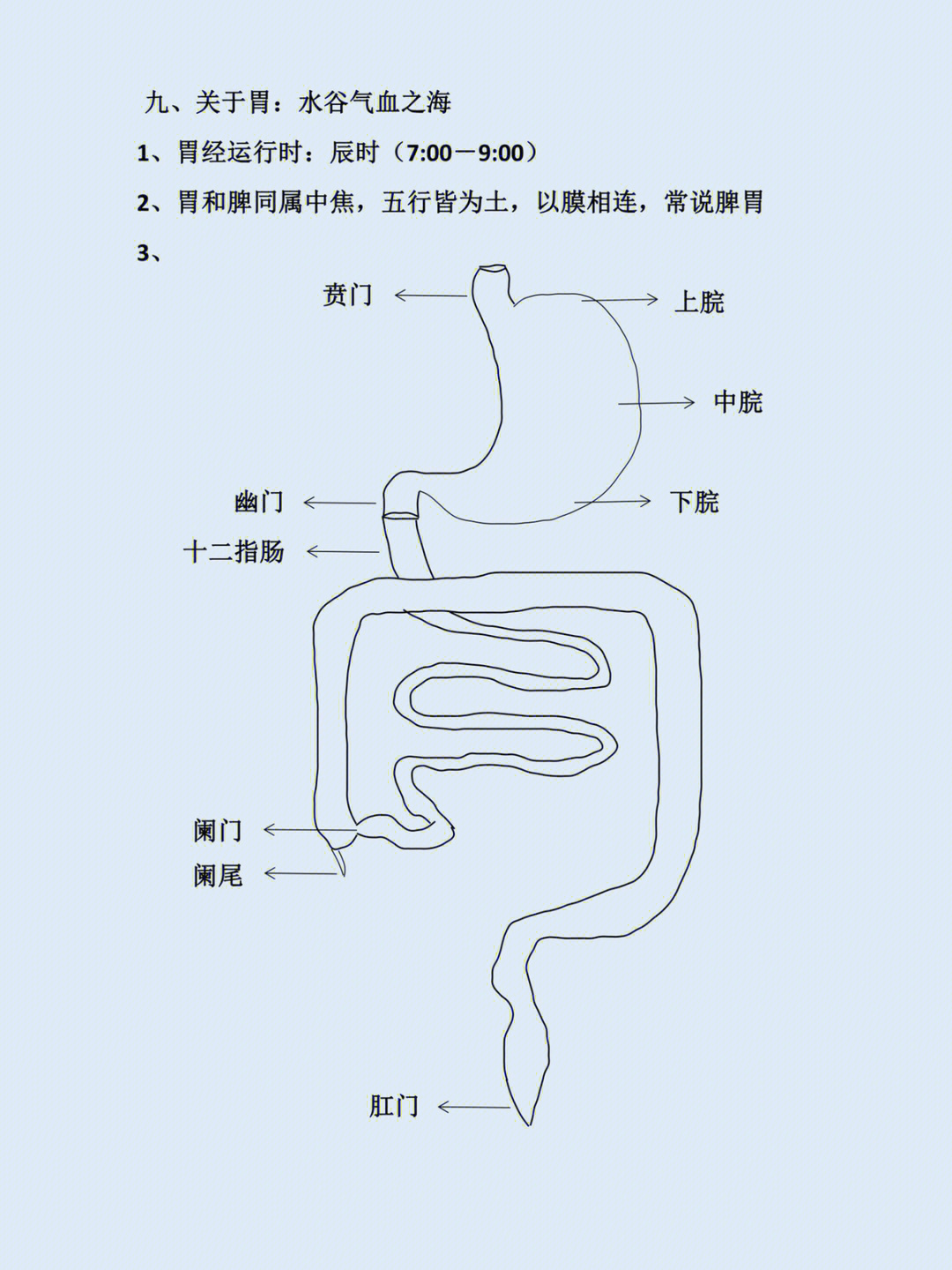 医学就会关于胃