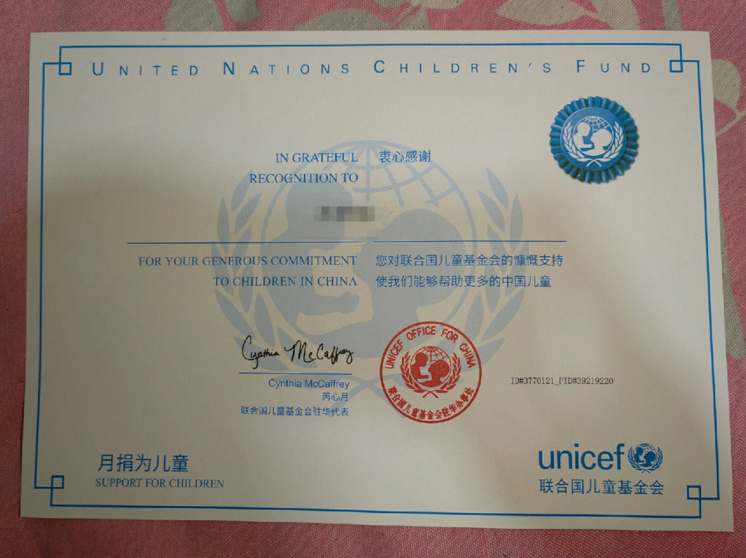 联合国证件图片