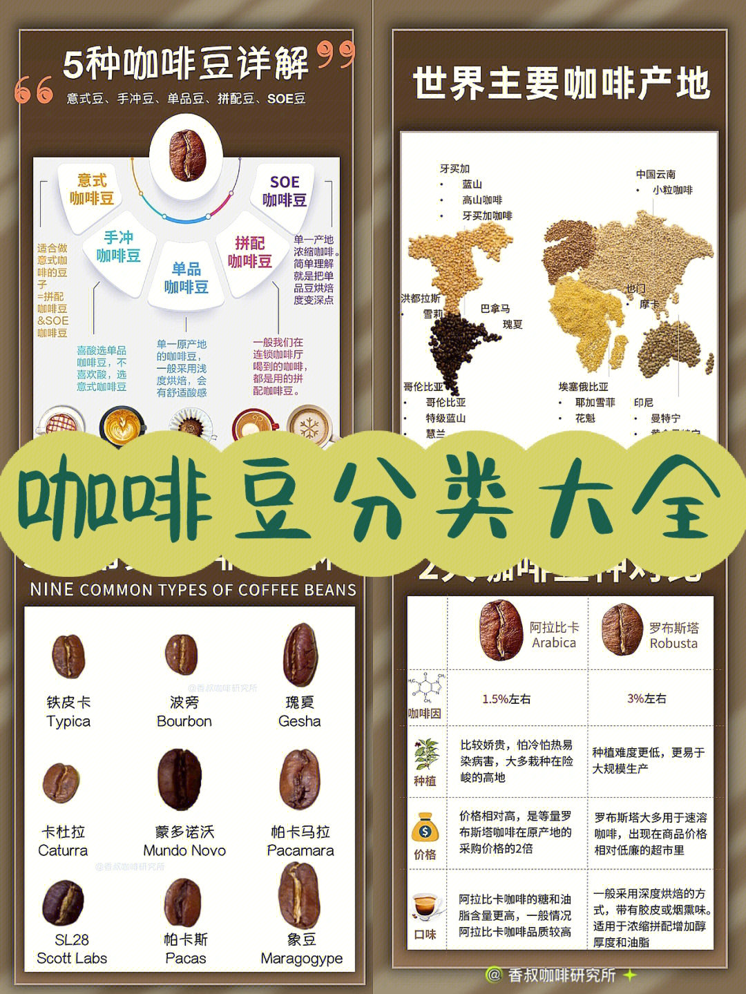 咖啡豆究竟有多少种714张图看懂咖啡种类