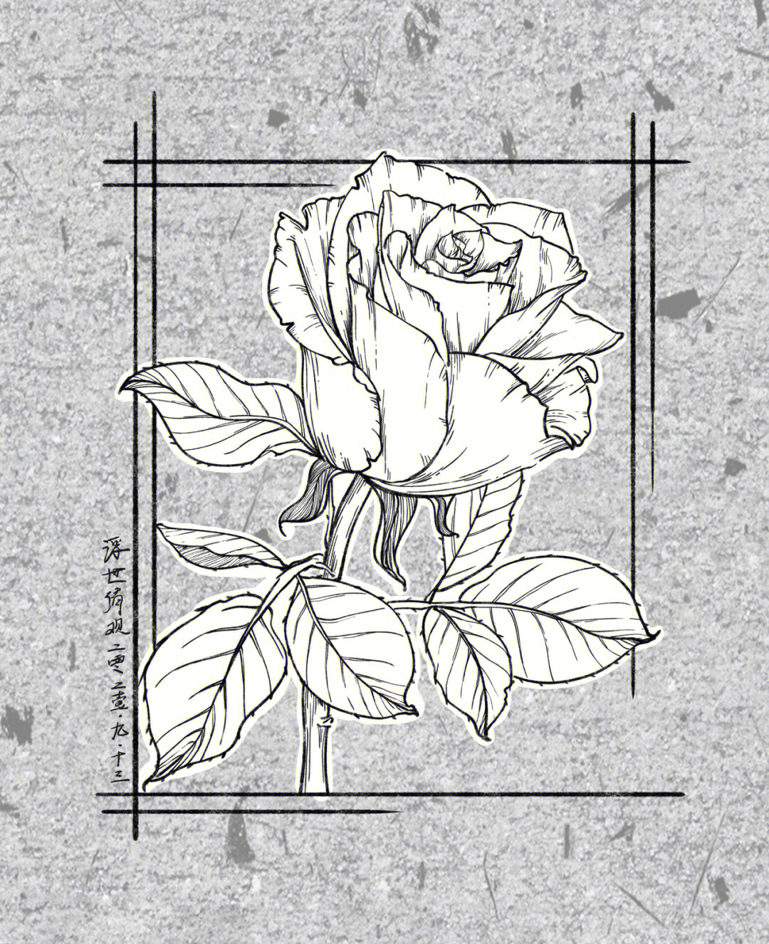 玫瑰花线稿简单图片