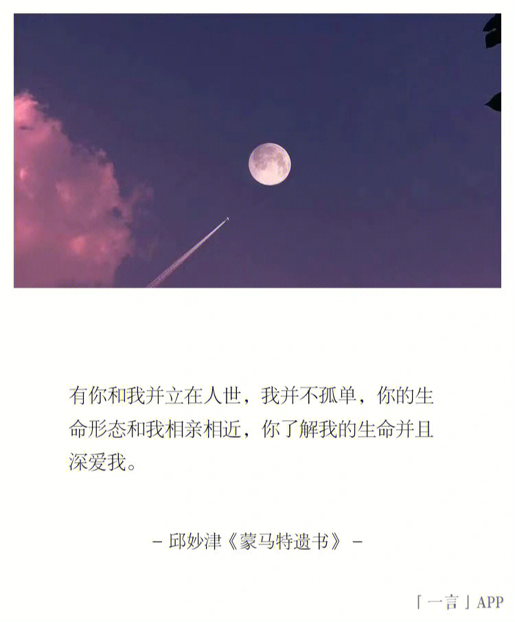 不过我觉得,《小王子》里的每个人,都有infj的缩影