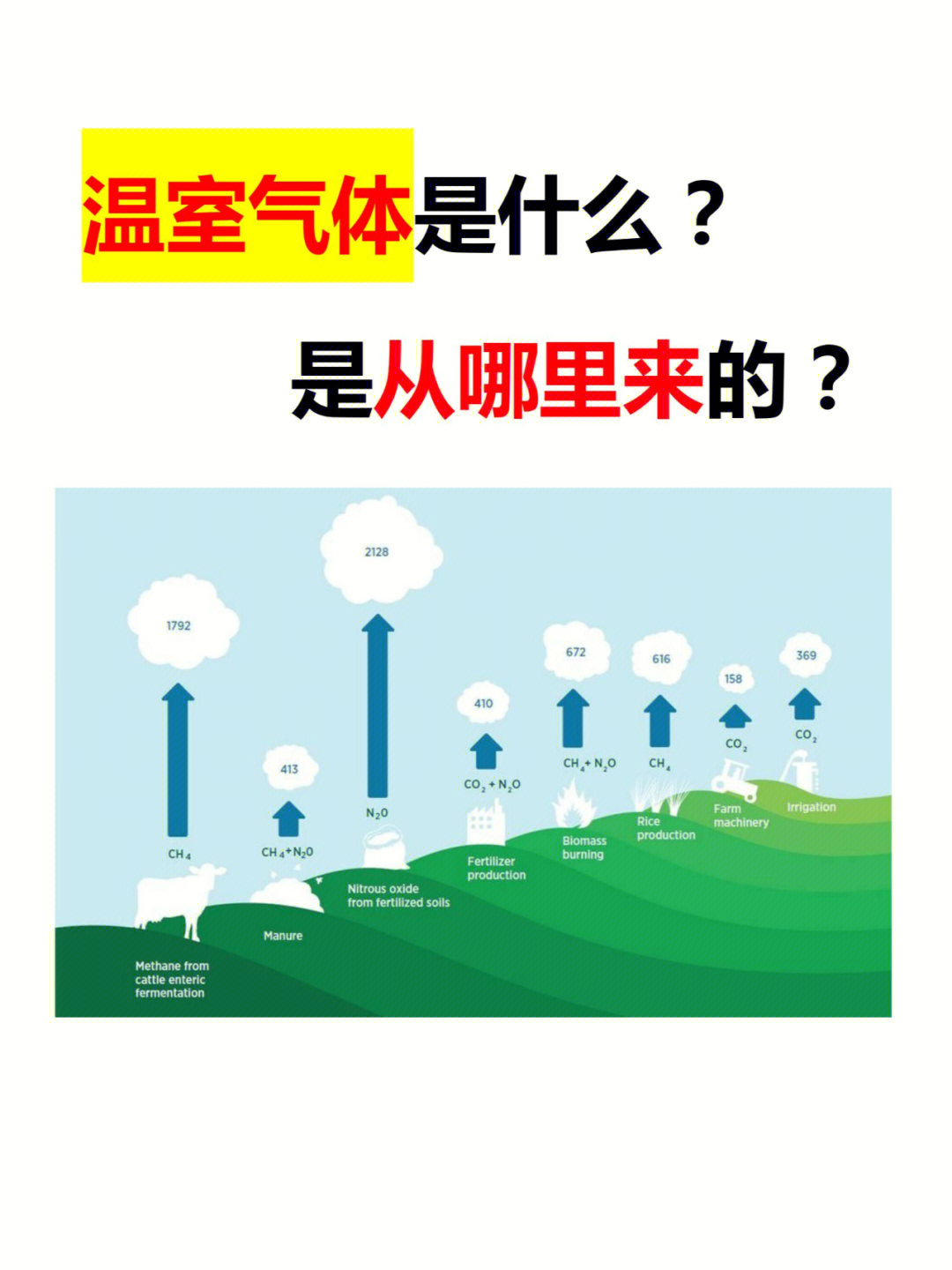 当前国内外相关的碳排放核算方法所考虑的温室气体种类主要为《京都议