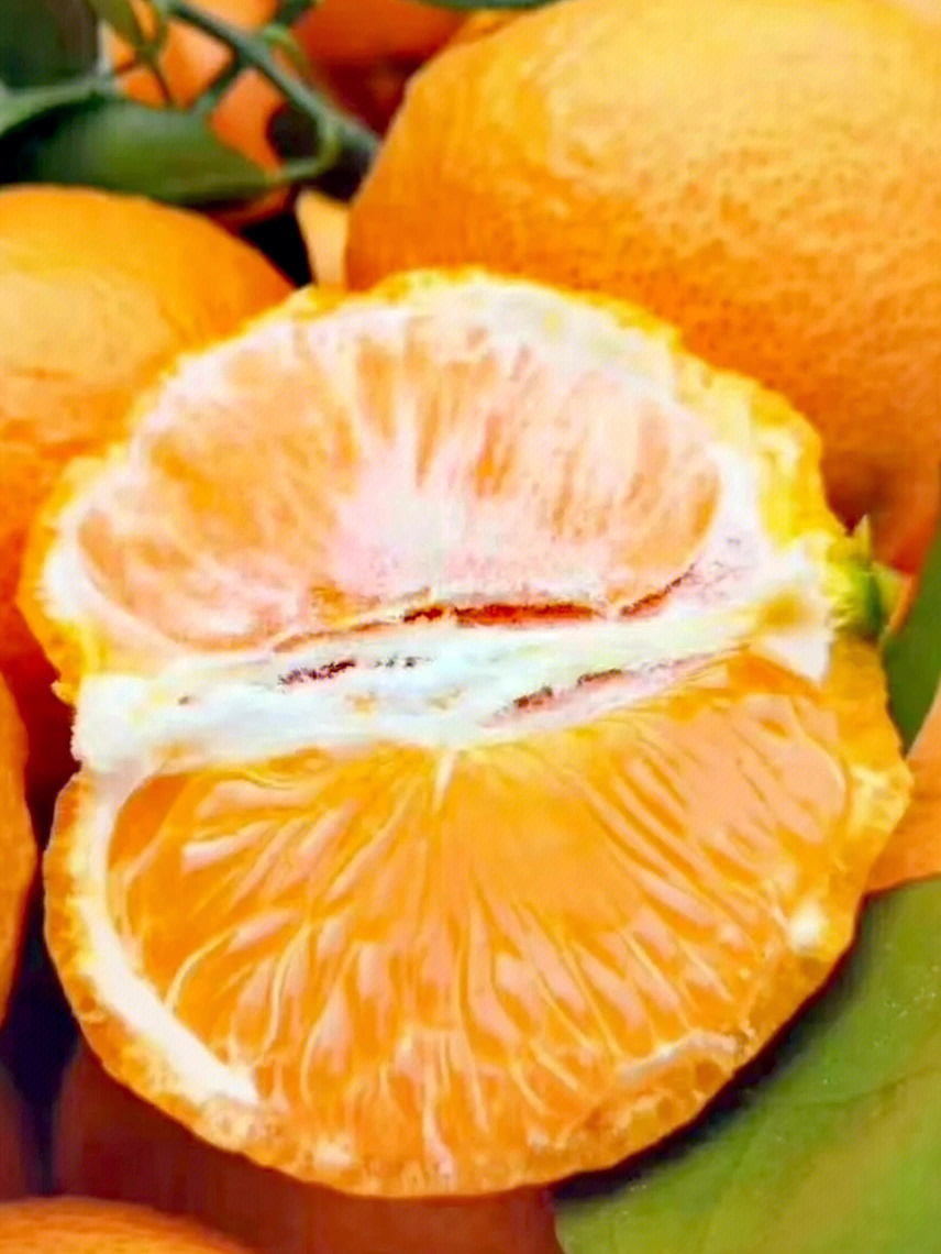 黄果柑口感图片