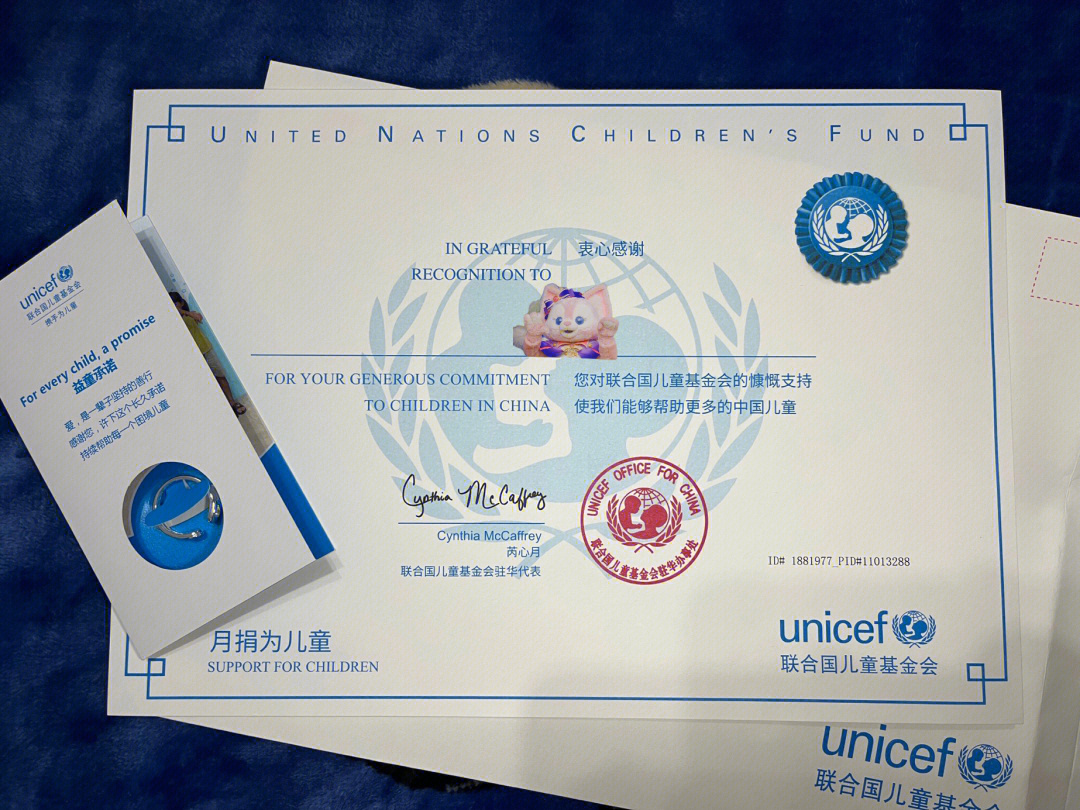 联合国安保部证书图片