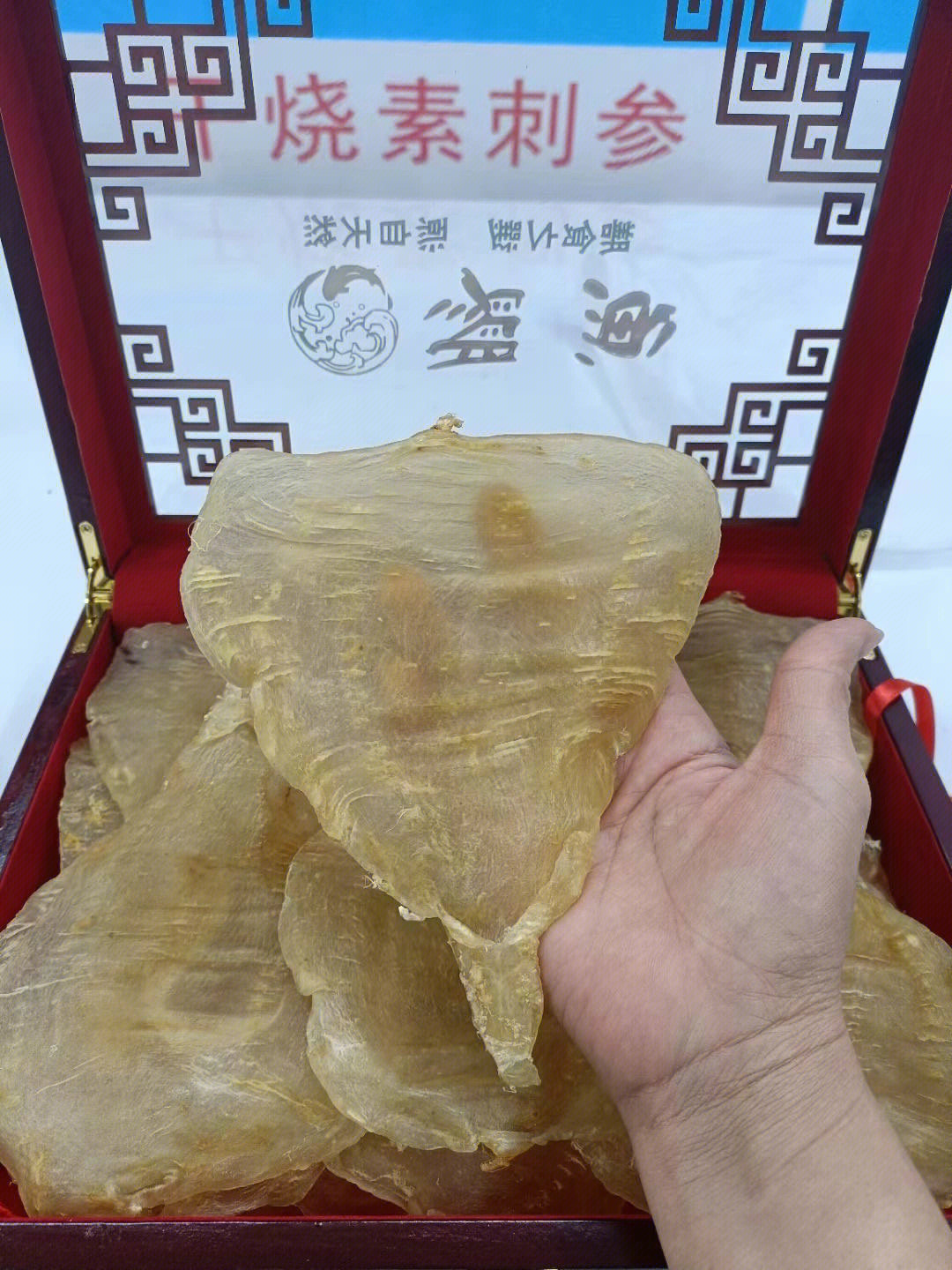 鳄鱼尾胶图片大全图片图片