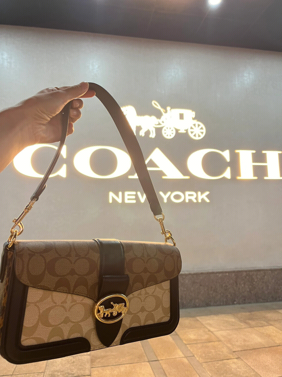 coachnewyork图片