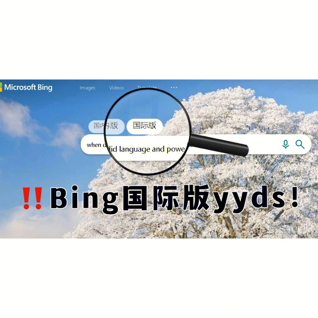 我不允许论文人没用过国际版bing