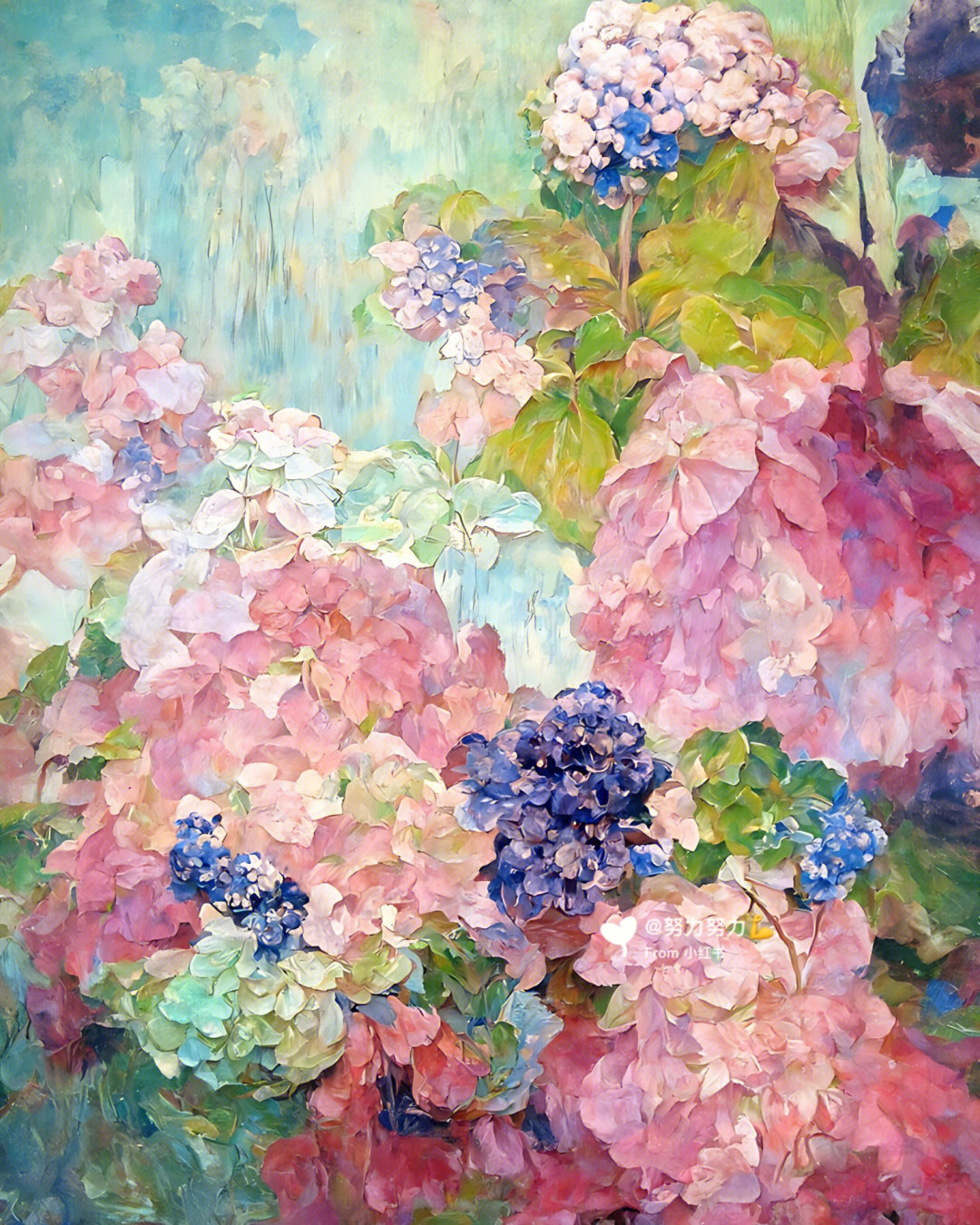 绘画|绣球花