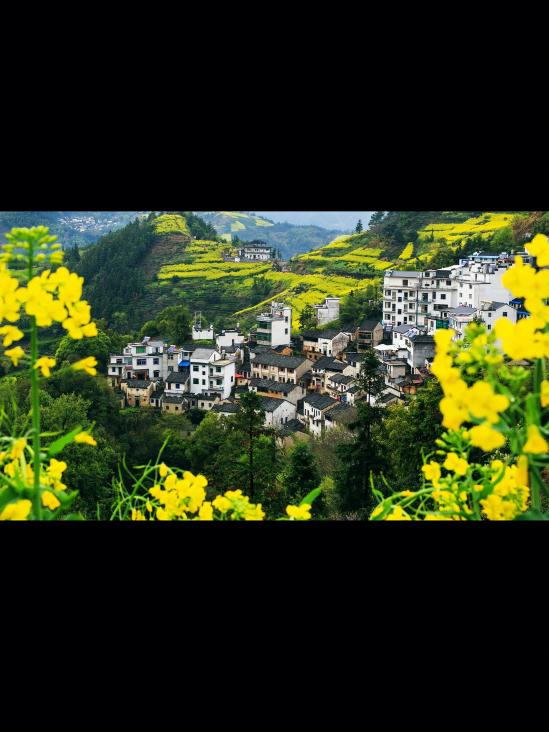 有高山花海风景,又有小桥流水人家,婺源全县共有一个5a级景区【江湾