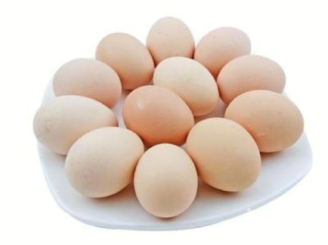 鸡蛋的功效和营养价值