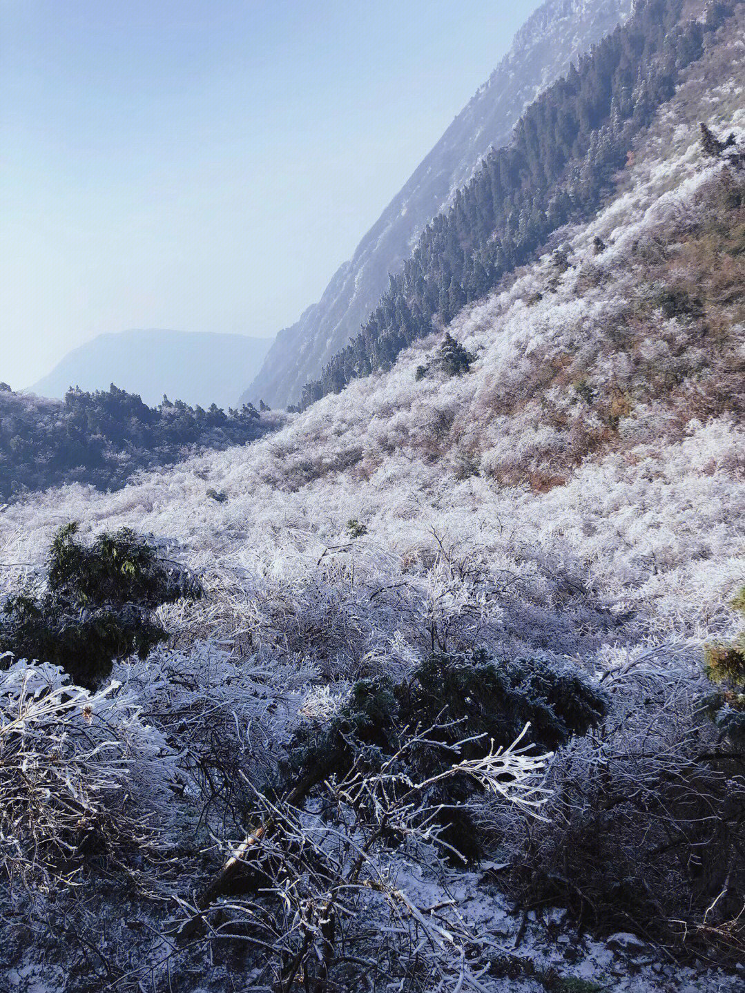 降温了,又到了去衡阳看雪的时候.