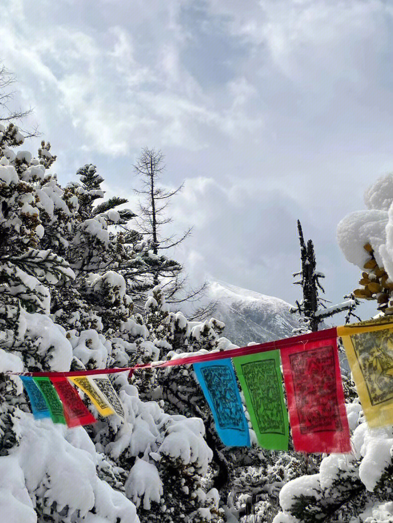 白马雪山