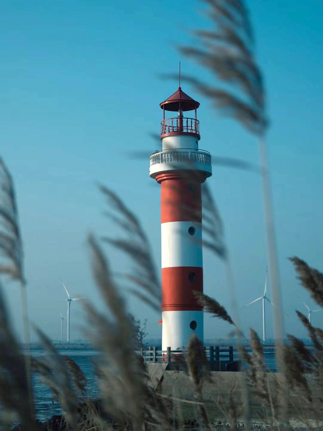 盐城靠海旅游景点大全图片