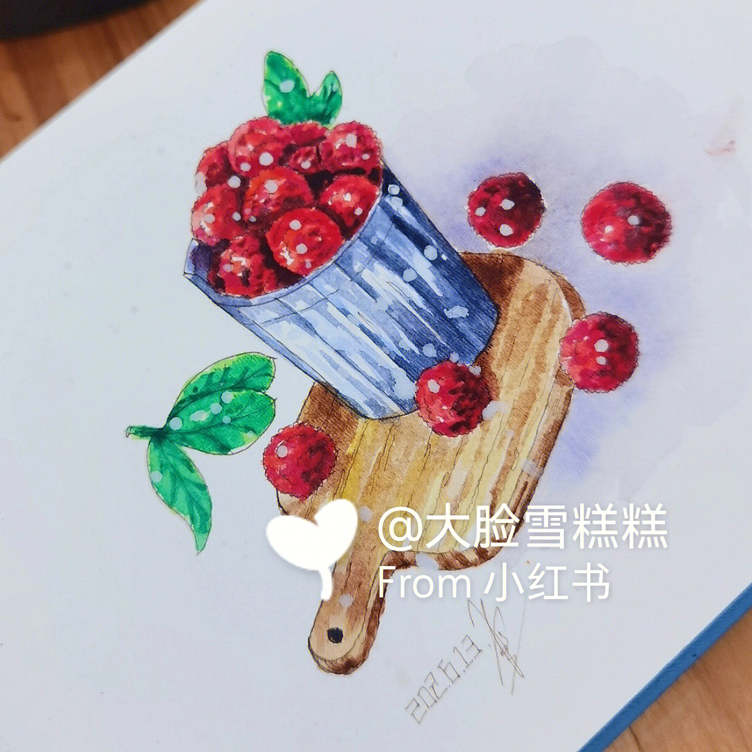 自学绘画钢笔淡彩杨梅附线稿过程