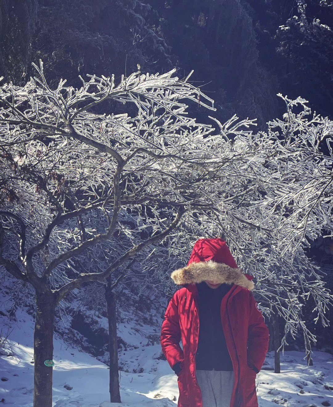 大寺基滑雪场图片